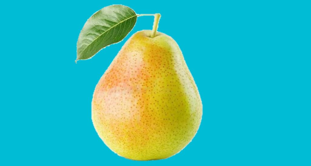 नाशपाती क्यों खाना चाहिए 