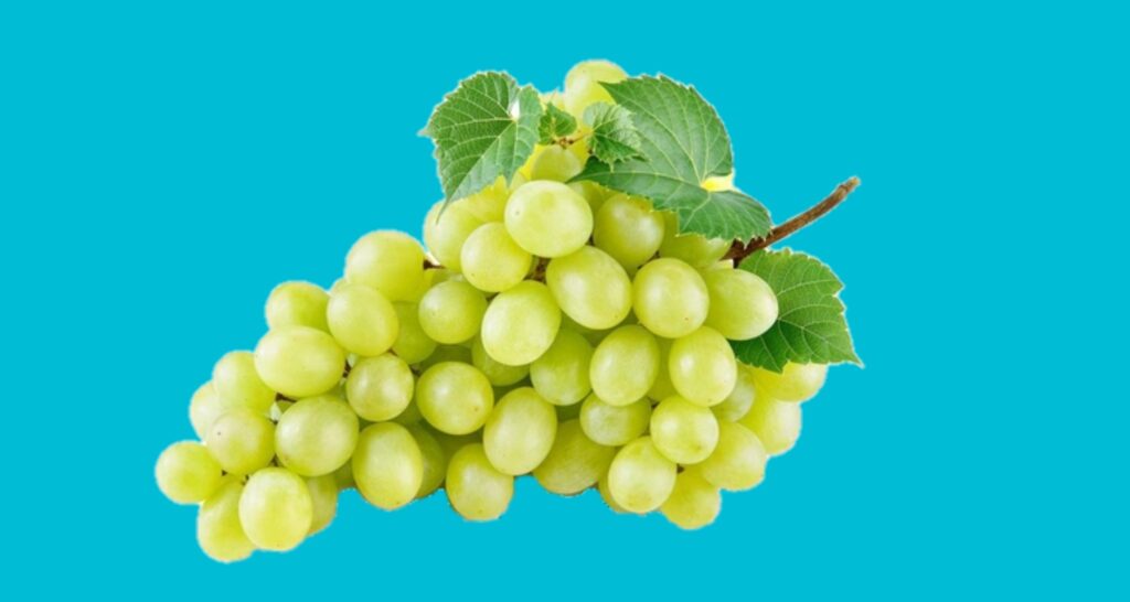 अंगूर 